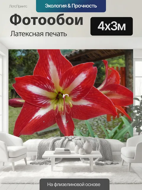 400 × 300 см · Латексная печать