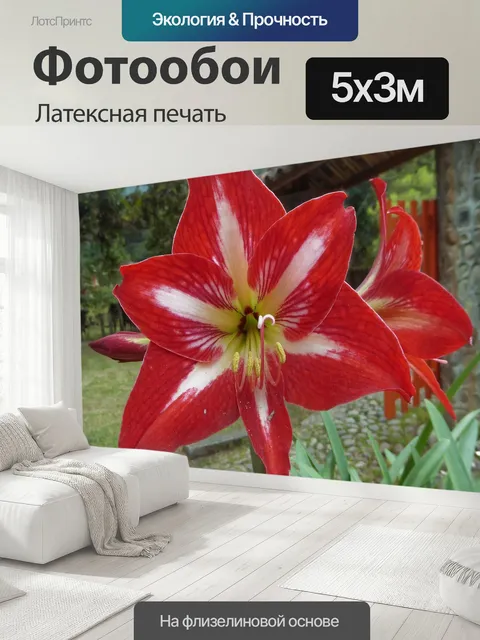 500 × 300 см · Латексная печать