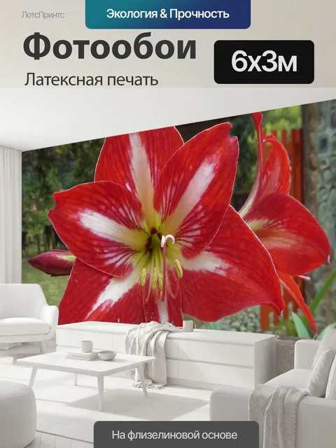 600 × 300 см · Латексная печать