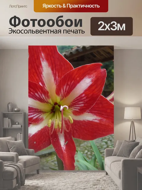 200 × 300 см · Экосольвентная печать
