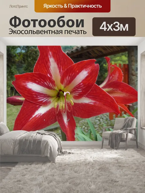 400 × 300 см · Экосольвентная печать