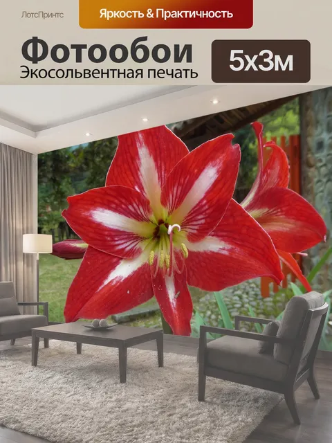 500 × 300 см · Экосольвентная печать