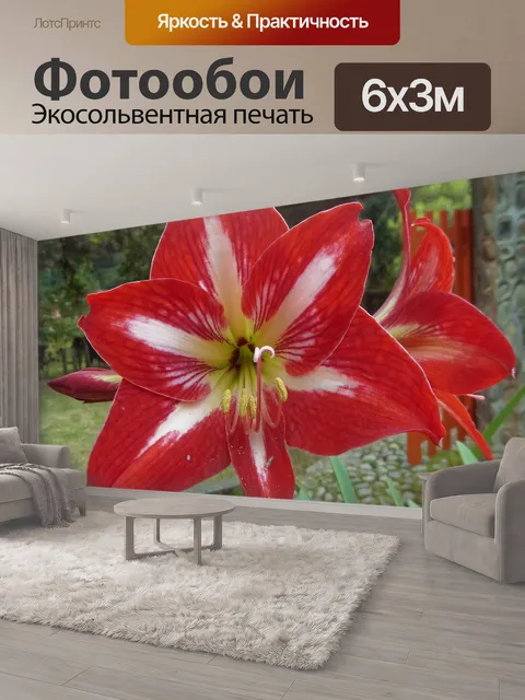 600 × 300 см · Экосольвентная печать