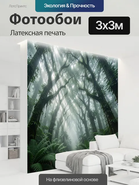 300 × 300 см · Латексная печать