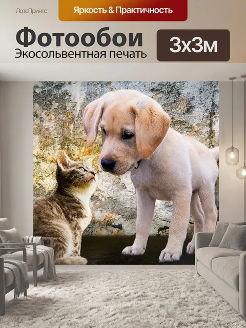Фотообои Животные, собака, кот