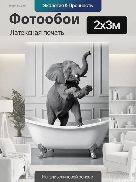 200 × 300 см · Латексная печать