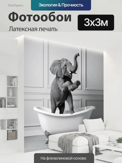 300 × 300 см · Латексная печать
