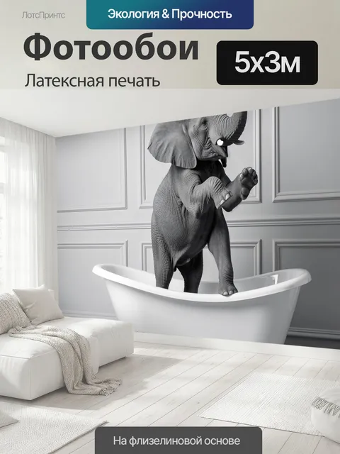 500 × 300 см · Латексная печать