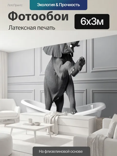 600 × 300 см · Латексная печать