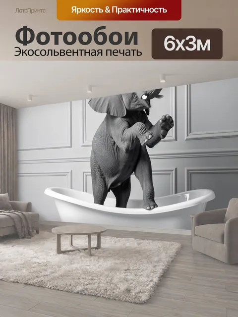 600 × 300 см · Экосольвентная печать
