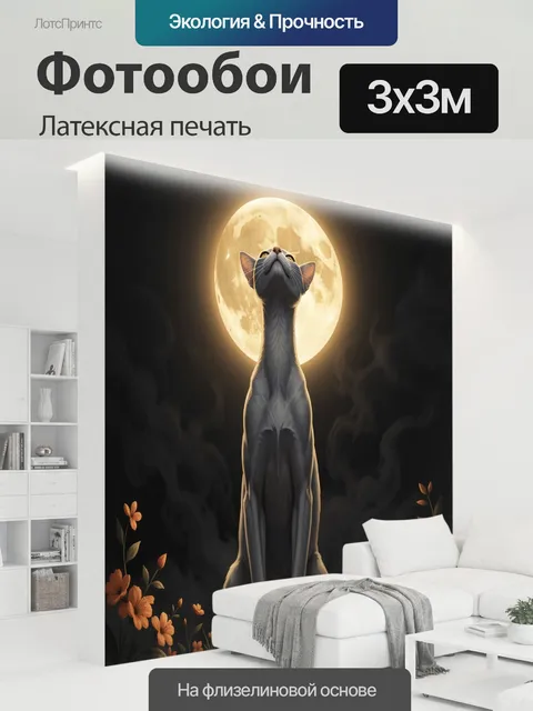 300 × 300 см · Латексная печать
