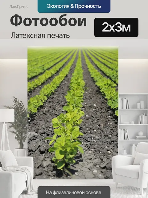 200 × 300 см · Латексная печать