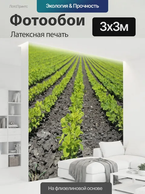 300 × 300 см · Латексная печать