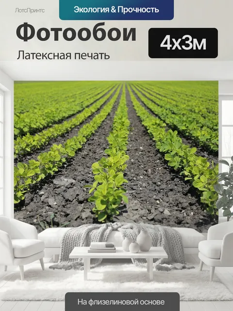 400 × 300 см · Латексная печать
