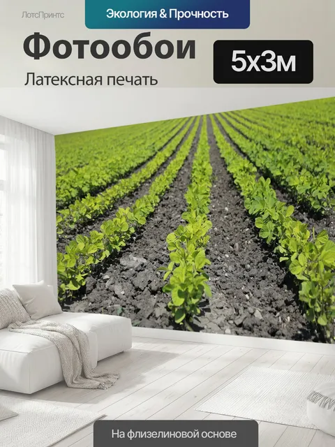 500 × 300 см · Латексная печать