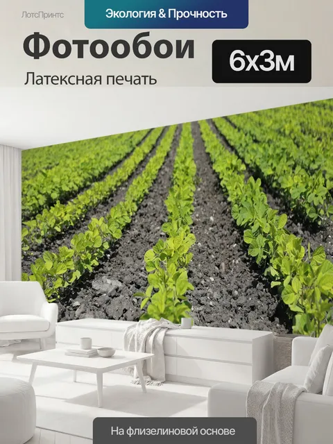 600 × 300 см · Латексная печать