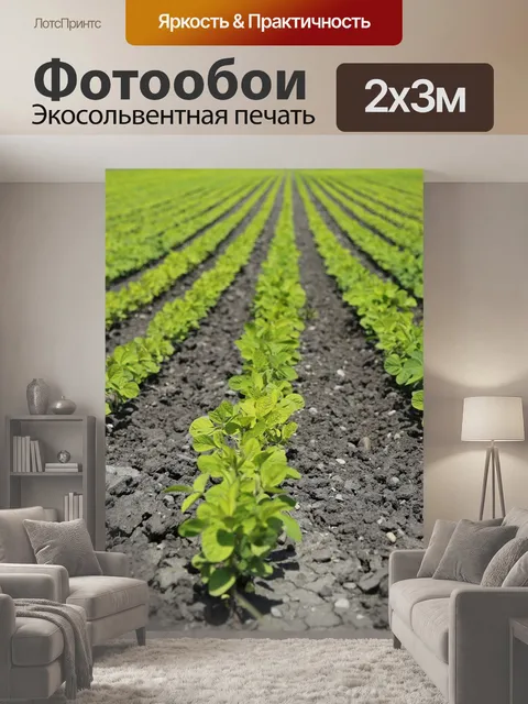 200 × 300 см · Экосольвентная печать