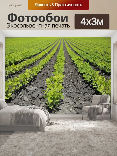400 × 300 см · Экосольвентная печать
