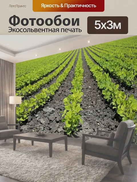 Фотообои Сельское хозяйство, поле, еда