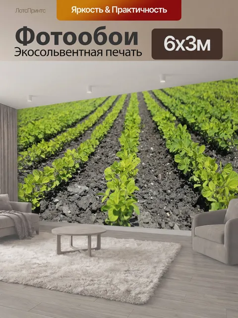 600 × 300 см · Экосольвентная печать