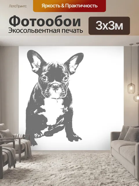 Фотообои Французский бульдог Черно-белая иллюстрация милого французского бульдога, сидящего на белом фоне французский …