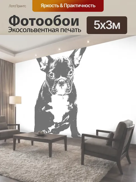 Фотообои Французский бульдог Черно-белая иллюстрация милого французского бульдога