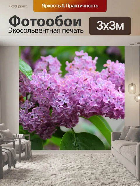Фотообои Сирень, сиринга, оливковое дерево