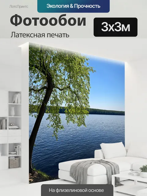300 × 300 см · Латексная печать