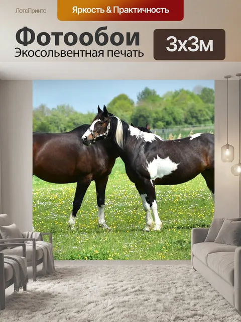 Фотообои Лошадь, пастбище, связь