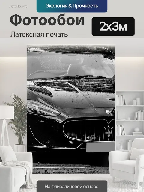 200 × 300 см · Латексная печать