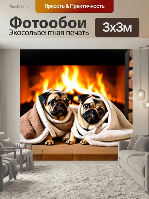 Фотообои Мопсы, укутанные в пледы у камина