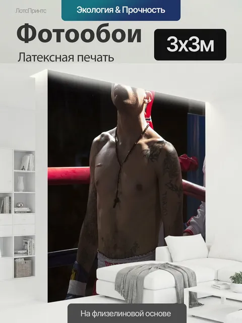 300 × 300 см · Латексная печать