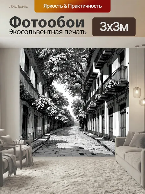 Фотообои Черно-белый: старинный городской пейзаж с узкими улочками и изящными балконами, украшенными цветами. огромные…