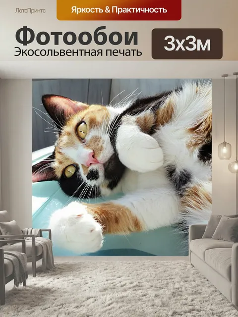 Фотообои Кошка, желтые глаза, трехцветный кот
