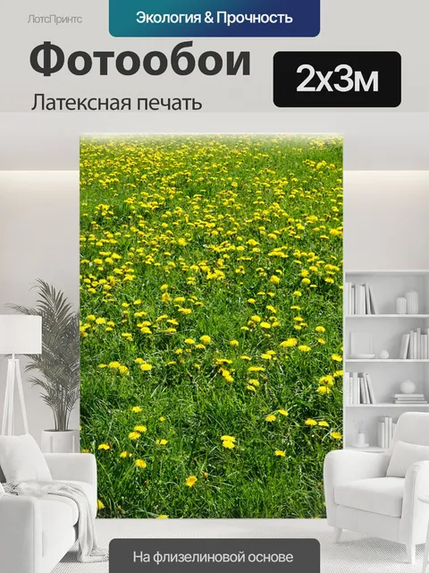 200 × 300 см · Латексная печать