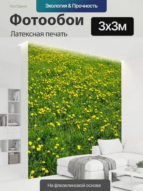 300 × 300 см · Латексная печать