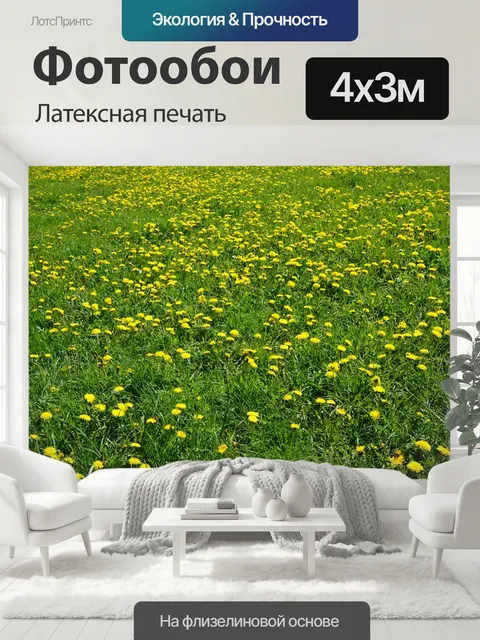 400 × 300 см · Латексная печать