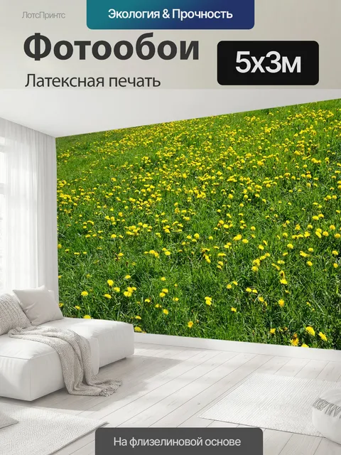 500 × 300 см · Латексная печать