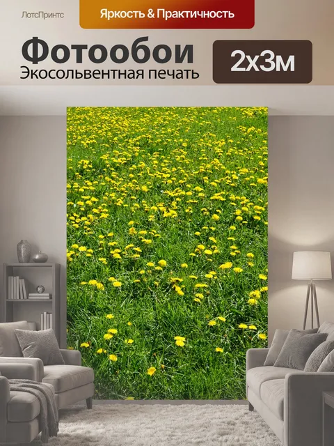 200 × 300 см · Экосольвентная печать