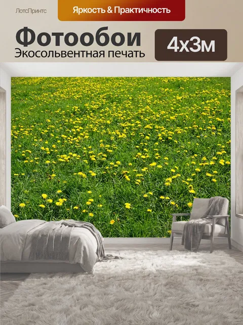 400 × 300 см · Экосольвентная печать