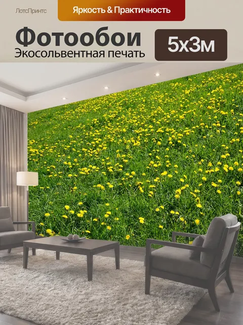 500 × 300 см · Экосольвентная печать