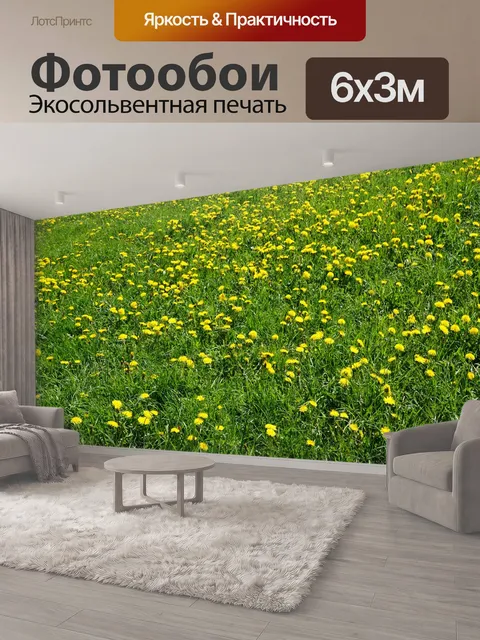 600 × 300 см · Экосольвентная печать
