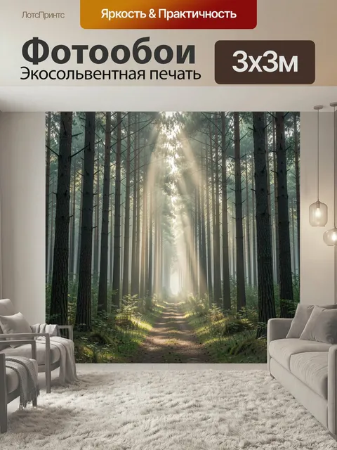 Фотообои Солнечные лучи в сосновом лесу