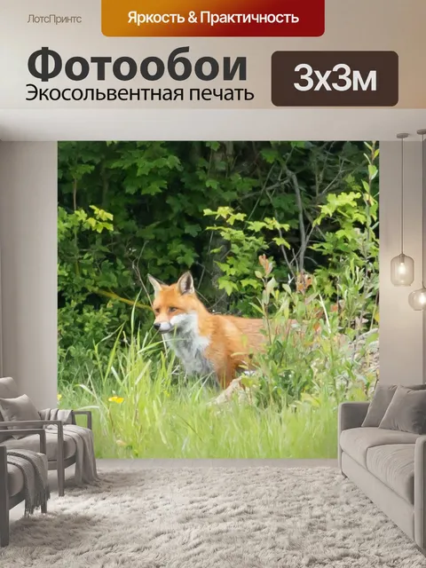 Фотообои Лиса, дикая лиса, здоровая лиса