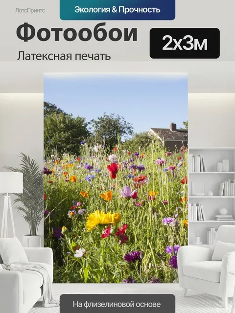 200 × 300 см · Латексная печать