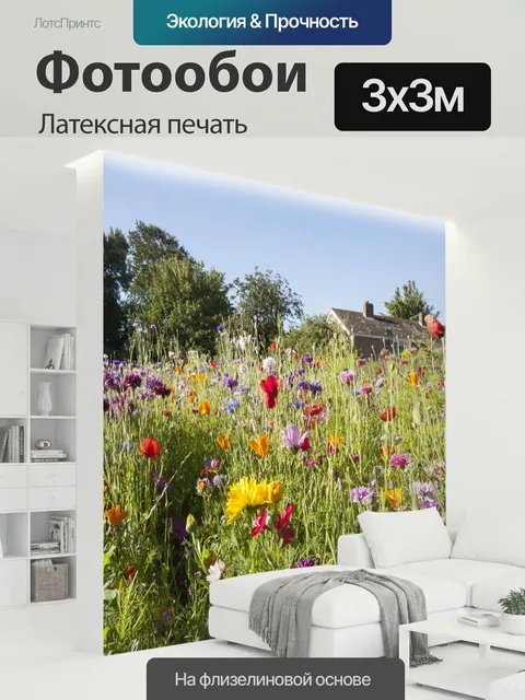 300 × 300 см · Латексная печать