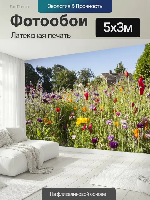 500 × 300 см · Латексная печать