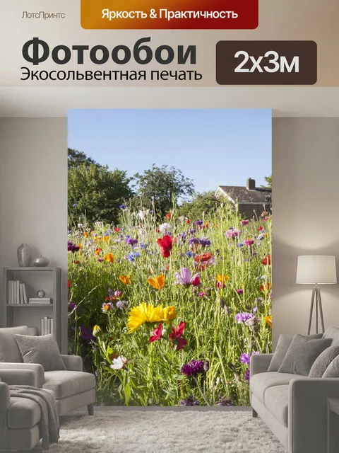 200 × 300 см · Экосольвентная печать