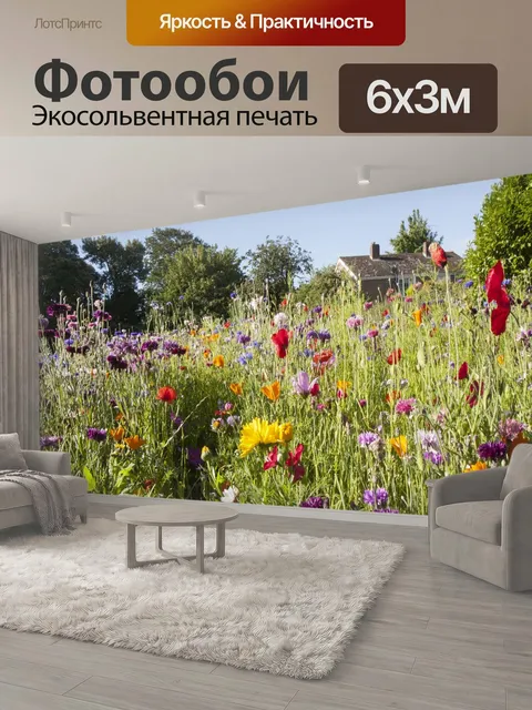 600 × 300 см · Экосольвентная печать