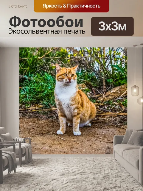 Фотообои Кошка, плутать, глаза